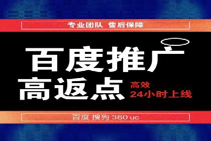 SEM竞价代运营公司案例深度解析